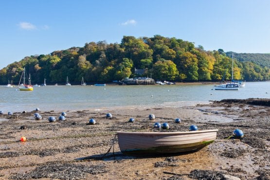 Discover Dittisham: Riverside Charm and Refined Living 