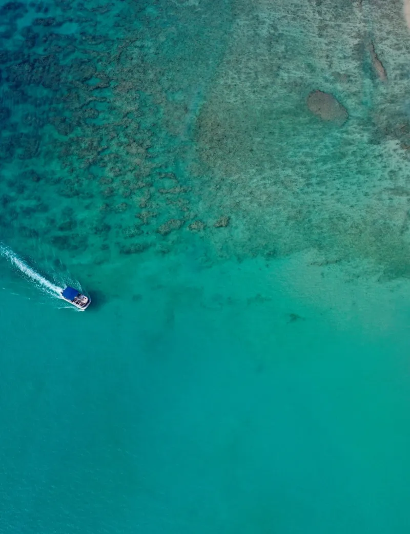 20+ Unforgettable Things to Do in Barbados (2026 Guide)