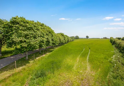 Land Market Update: Quality Land Continues to Draw Attention from Serious Purchasers