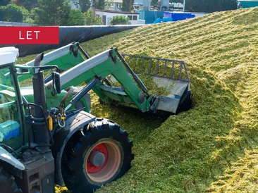 500 Tonnes of Clamp Silage available in North Devon (Umberleigh area)