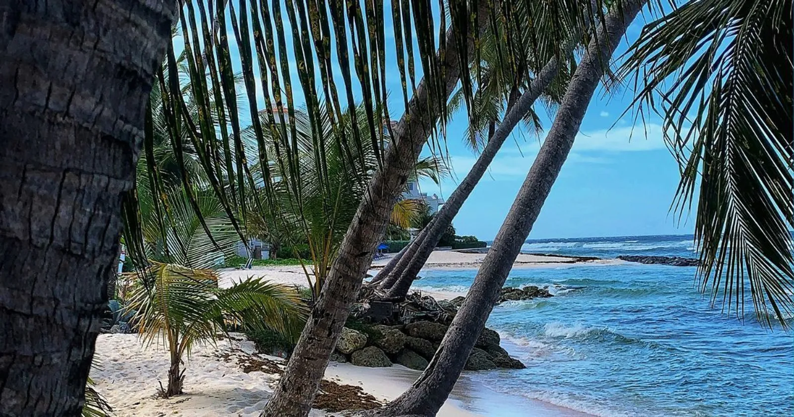 Property transfer tax and stamp duty in Barbados