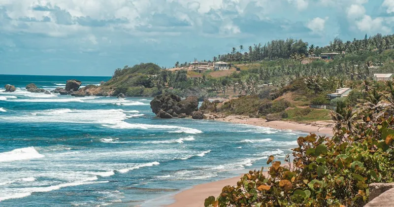 Annual property tax and land tax in Barbados