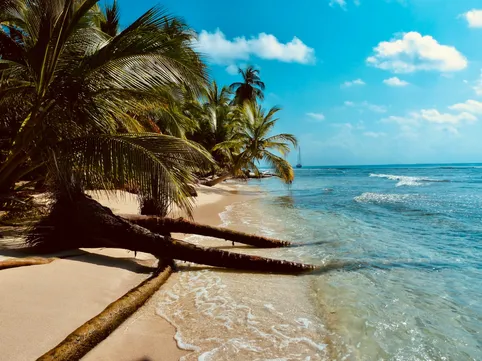 British Virgin Islands market overview