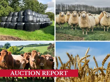 The South West July Fodder, Crop & Livestock Online Timed Auction Statistics