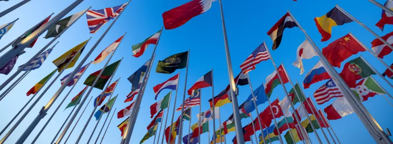 Image for diplomatic services