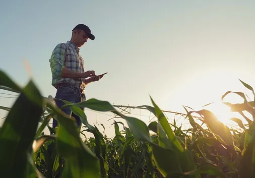 Sustainable Farming Incentive (SFI) 2026 – Window 2 Update