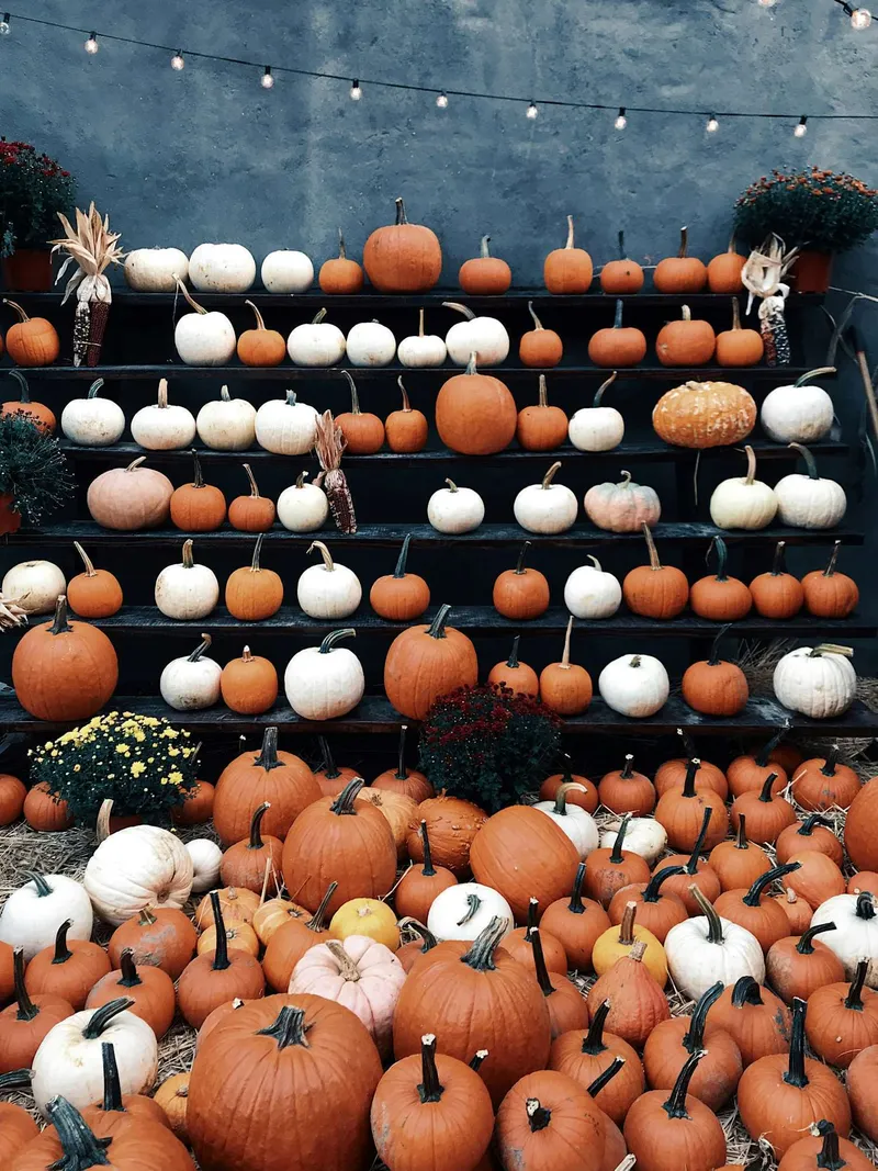 What’s On in Wolverhampton This Half-Term and Halloween 2026